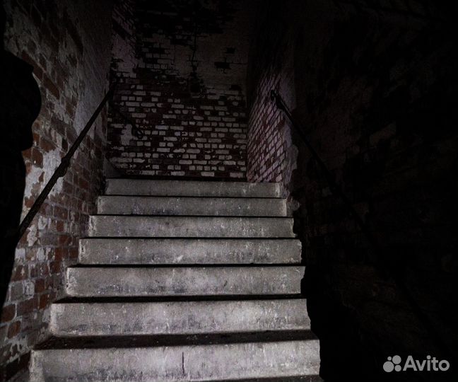 Экскурсия ночная жизнь форта № 11 «Дёнхофф»