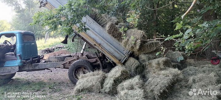Сено луговое в тюках