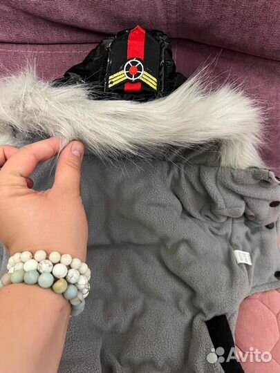 Одежда для собак