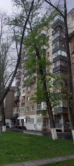 3-к. квартира, 68,6 м², 2/10 эт.