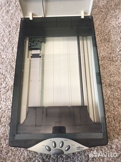 Сканер BearPaw 2448TA Pro mustek