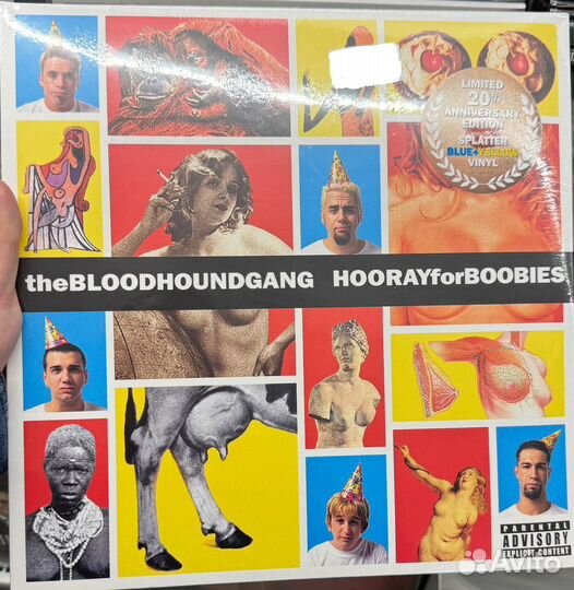 Bloodhound Gang - Hooray For Boobies винил