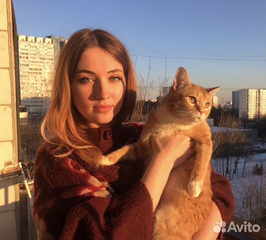 Котоняня/зооняня