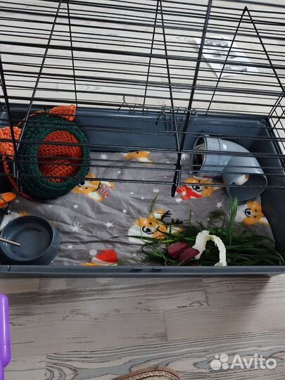 Домик для морской свинки