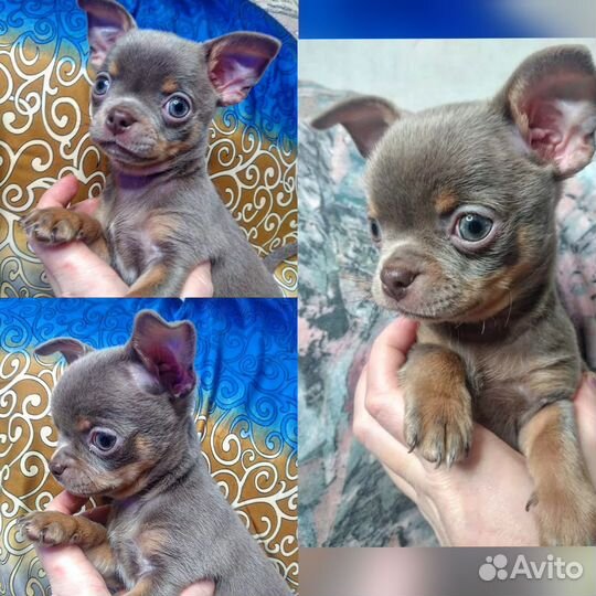 Мини мальчик и девочка