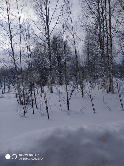 Участок 1,82 га (ИЖС)