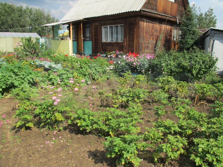 Участок 4,6 сот. (СНТ, ДНП)