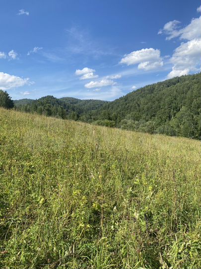 Участок 3 га (СНТ, ДНП)