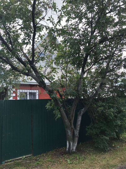 Дача 44 м² на участке 5,3 сот.