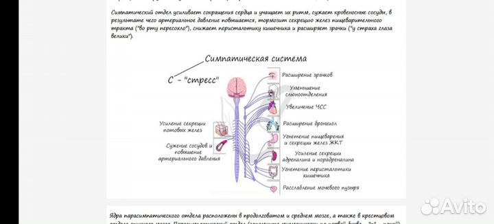 Материалы для подготовки к егэ по биологии