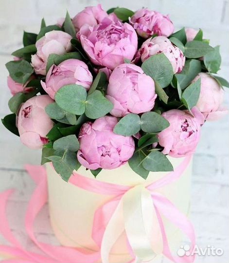 Пионы Букет пионов