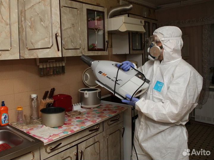 Уничтожение клопов тараканов муравьёв блох клещей