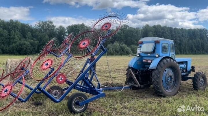 Грабли Дивизин ГВВ-8, 2024