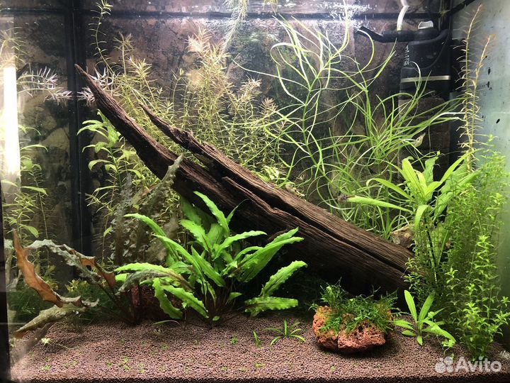 Аквариум 75л