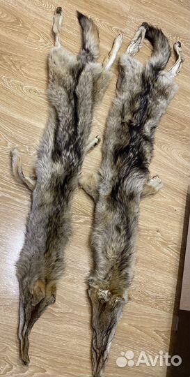 Шкура волка
