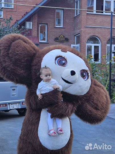 Белый Медведь Мишка Поздравление С Днем Рождения