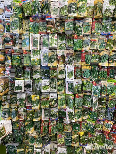 Семена огурцов