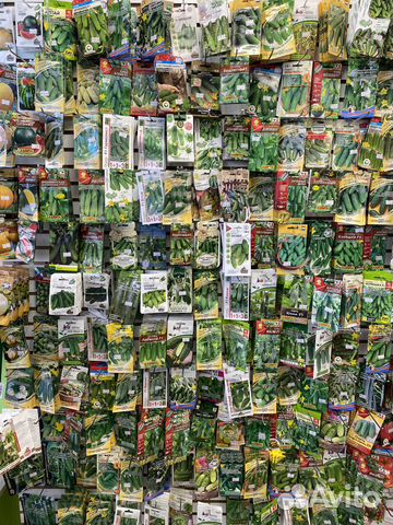 Семена огурцов