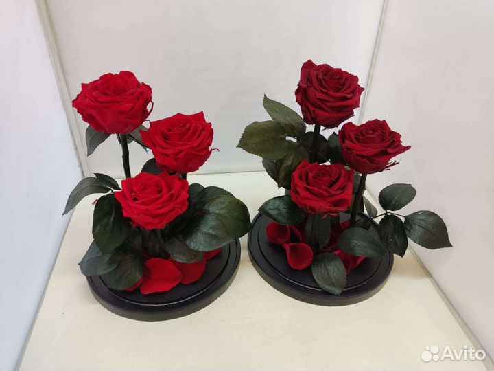 Роза в колбе