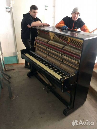 Грузчики - Переезды - Перевозки