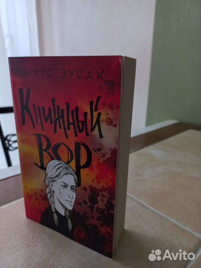 Выбор Софи. Книжный вор