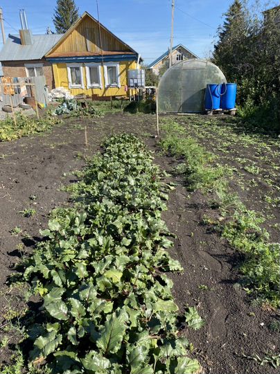 Дом 58 м² на участке 4,4 сот.