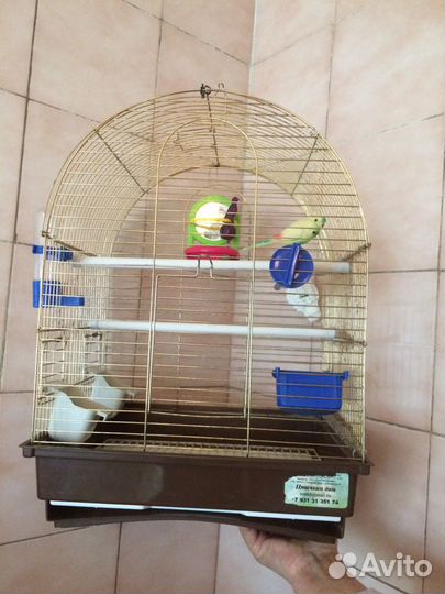 Клетка для птиц и грызунов