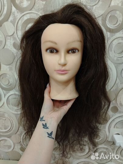 Голова учебная, Манекен