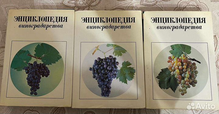 Энциклопедия виноградарства