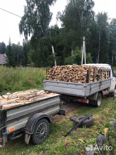 Дрова колотые дуб