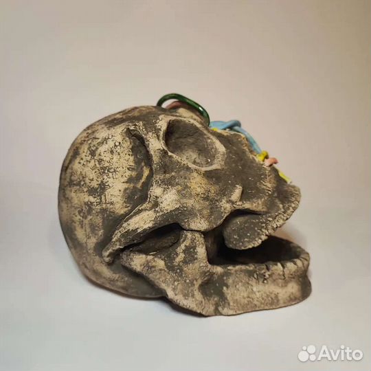 Радужный череп