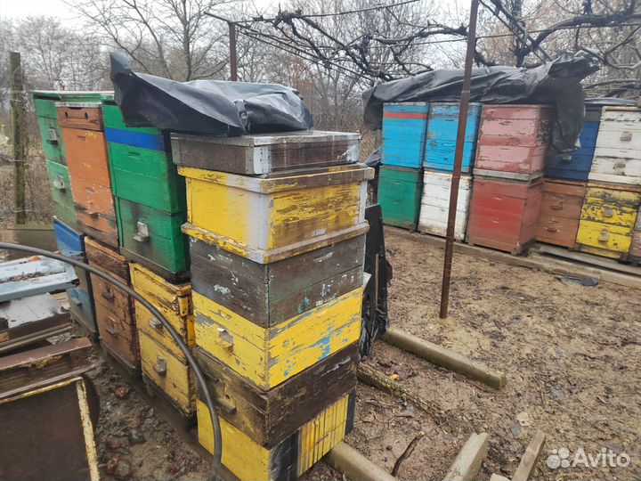 Ульи для пчел