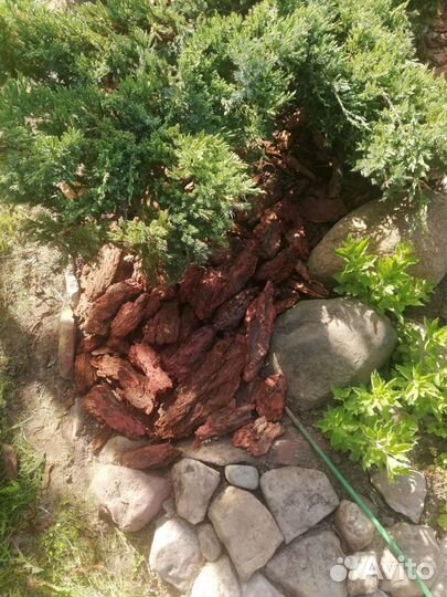 Кора сибирской лиственницы 10-20 мешки по 60л