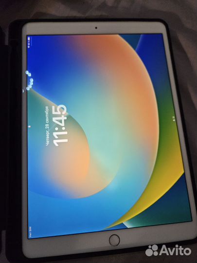 iPad pro 10.5 256gb wifi + sim