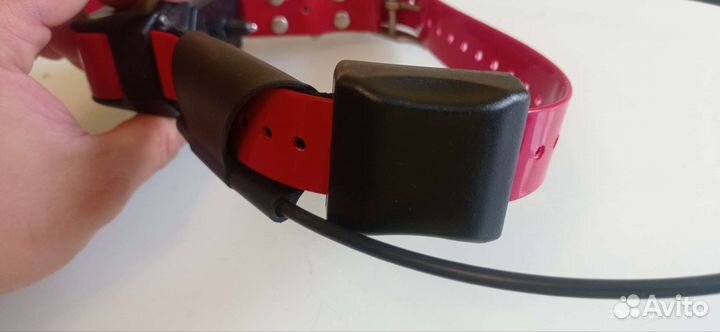 Ошейник Garmin tt10 usa Америка