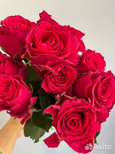 Цветы розы и букеты с доставкой