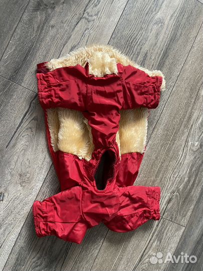 Одежда длч собак