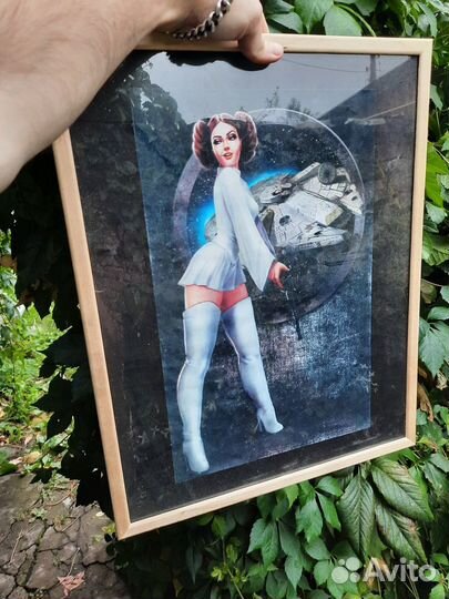 Картины (принцесса Лея)