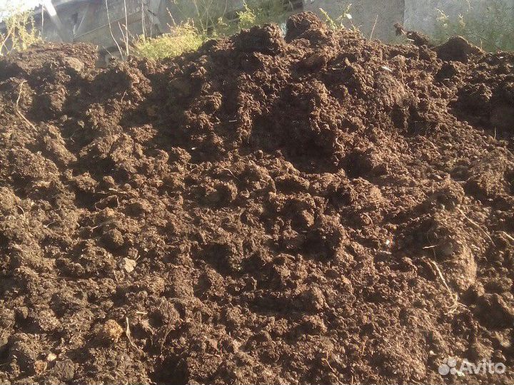 Перегной,навоз,земля,чернозем,конский навоз