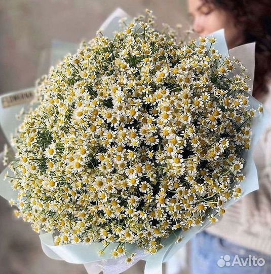 Доставка цветов. Ромашки