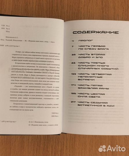 Александр Шаповалов. Падший. Искупление