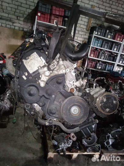 Двигатель Citroen C3 (2002-2010) 2003г. 8HY