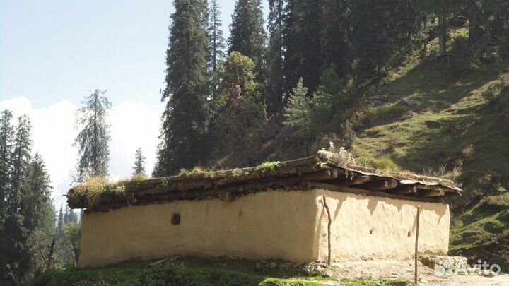 Цифровой фотоаппарат Sony DSC-W350 y2k