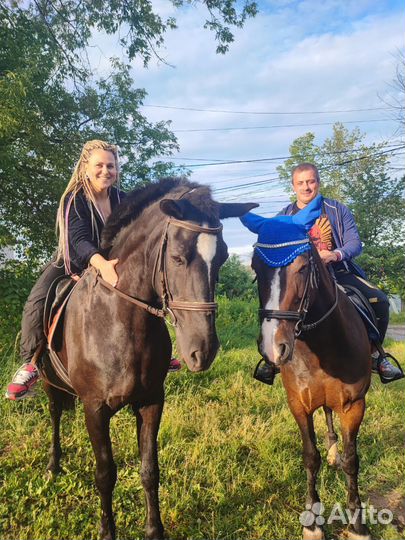 Конные прогулки