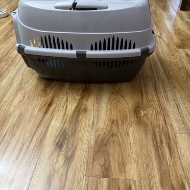 Переноска для кошек пластиковая большая