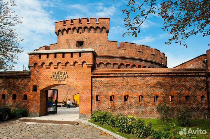 Обзорная экскурсия по г. Калининграду