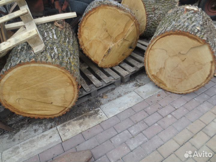 Колоды дубовые для рубки мяса, под наковальню
