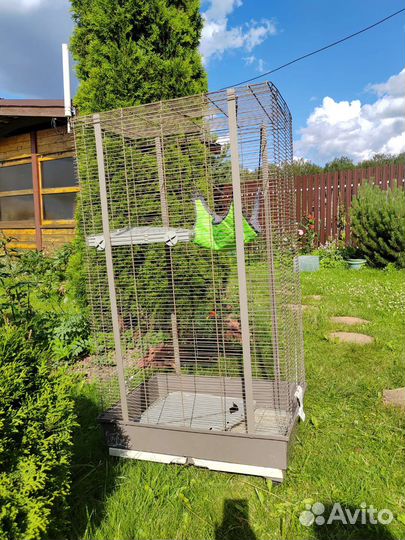 Клетка для шиншиллы, птиц