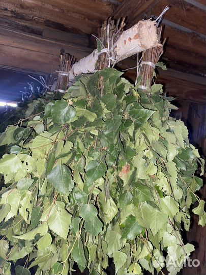 Веники для бани