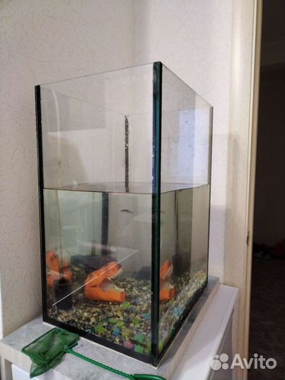 Высокий аквариум 60 см